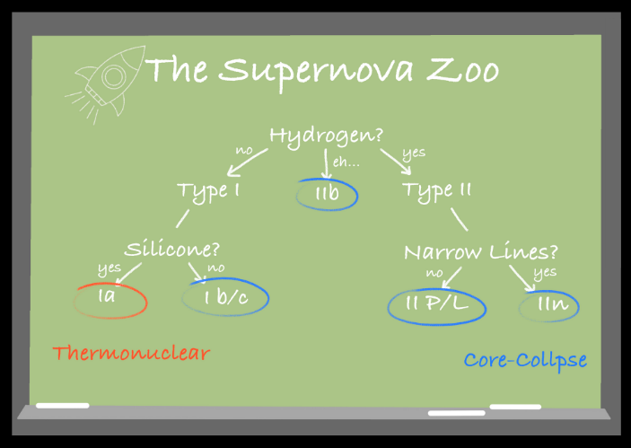 SN Zoo